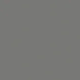 DUST GREY GLOSS dust grey