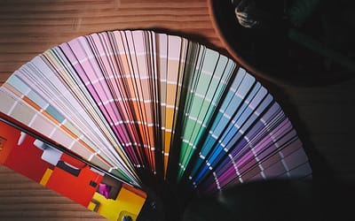 koala BDpEmeB8HUk unsplash rotated Kesseler Choose The Colour Scheme For Your New Kitchen