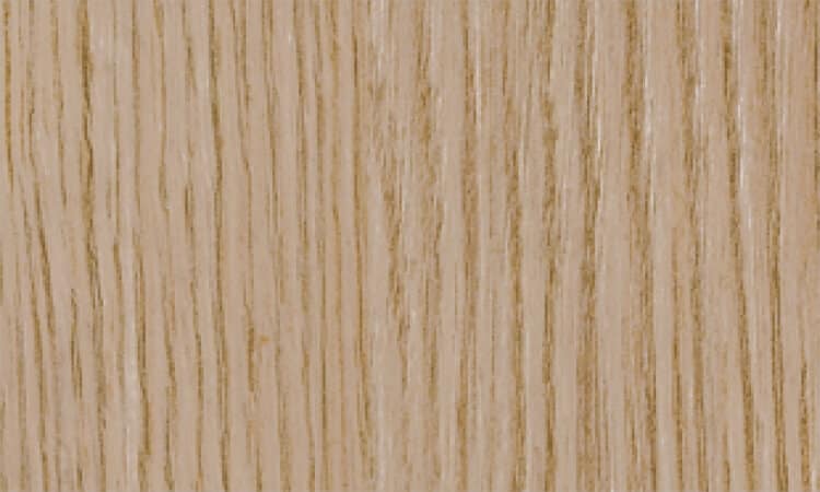 TECO-CINNAMON Cinnamon