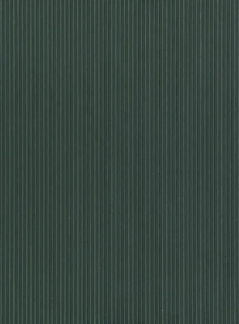 STRISCIA VERDE ICE 4